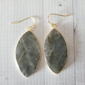 Labradorite Gray Gold Tone Earrings NWOT